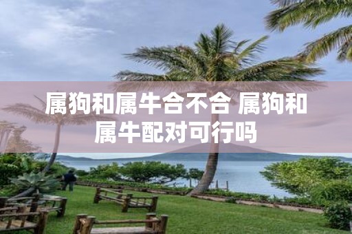 属狗和属牛合不合 属狗和属牛配对可行吗