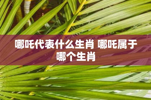 哪吒代表什么生肖 哪吒属于哪个生肖