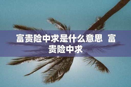 富贵险中求是什么意思 富贵险中求