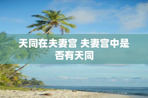 天同在夫妻宫 夫妻宫中是否有天同