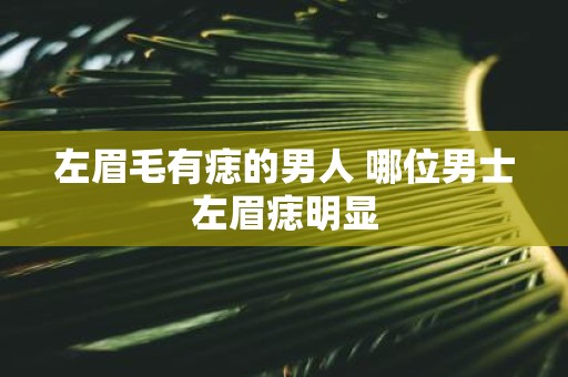 左眉毛有痣的男人 哪位男士左眉痣明显