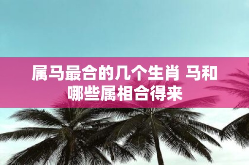 属马最合的几个生肖 马和哪些属相合得来