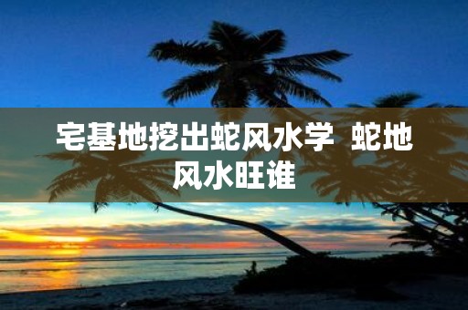 宅基地挖出蛇风水学 蛇地风水旺谁
