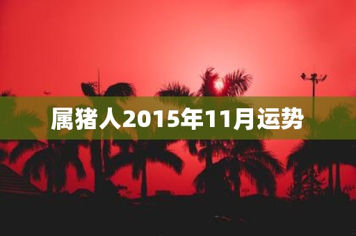 属猪人2015年11月运势
