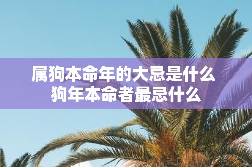 属狗本命年的大忌是什么 狗年本命者最忌什么