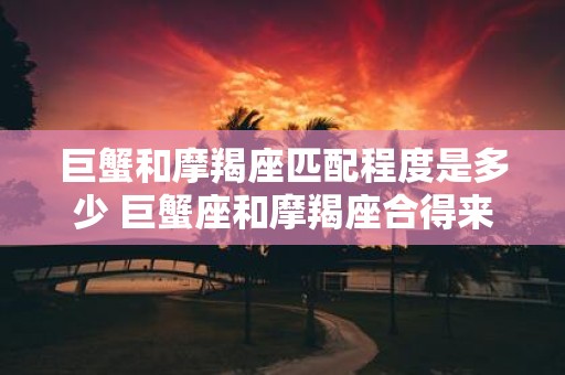 巨蟹和摩羯座匹配程度是多少 巨蟹座和摩羯座合得来吗