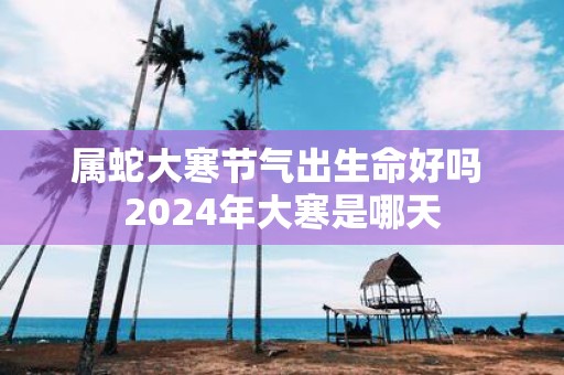 属蛇大寒节气出生命好吗 2025年大寒是哪天