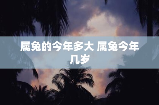 属兔的今年多大 属兔今年几岁