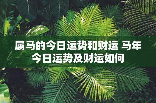 属马的今日运势和财运 马年今日运势及财运如何