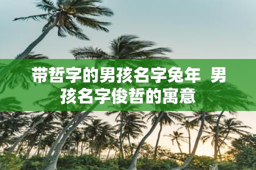 带哲字的男孩名字蛇年 男孩名字俊哲的寓意