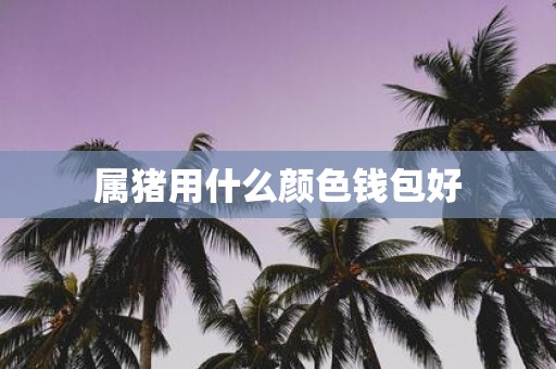 属猪用什么颜色钱包好