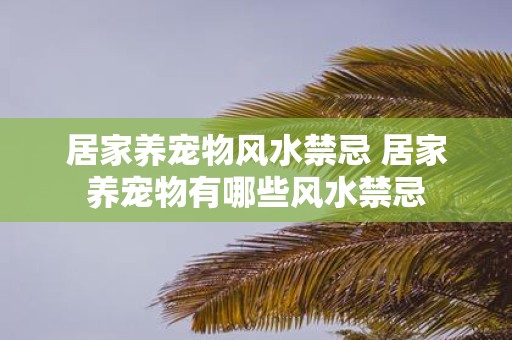 居家养宠物风水禁忌 居家养宠物有哪些风水禁忌