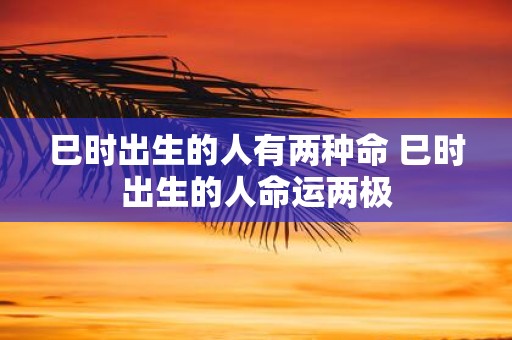 巳时出生的人有两种命 巳时出生的人命运两极