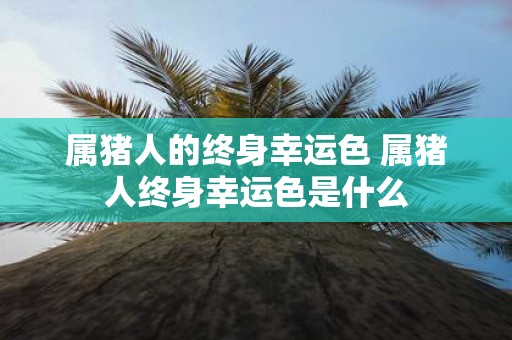 属猪人的终身幸运色 属猪人终身幸运色是什么