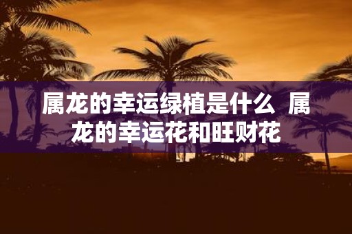 属龙的幸运绿植是什么 属龙的幸运花和旺财花