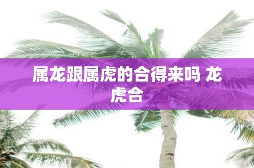 属龙跟属虎的合得来吗 龙虎合