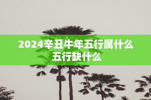 2025辛丑牛年五行属什么 五行缺什么