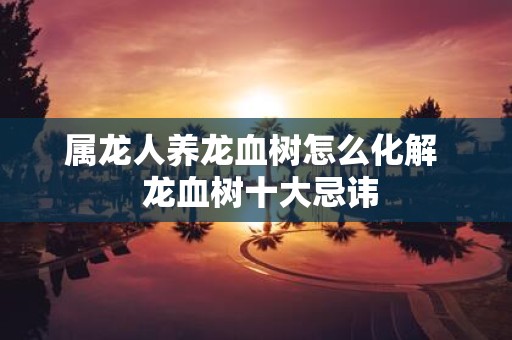 属龙人养龙血树怎么化解 龙血树十大忌讳