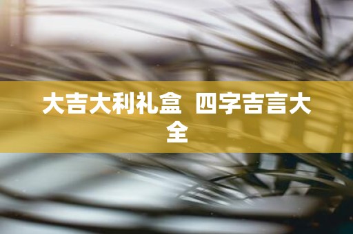 大吉大利礼盒 四字吉言大全