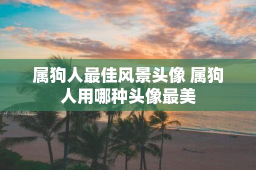 属狗人最佳风景头像 属狗人用哪种头像最美