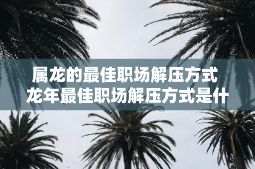 属龙的最佳职场解压方式 蛇年最佳职场解压方式是什么