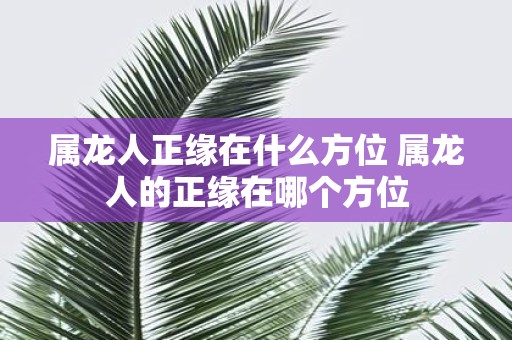 属龙人正缘在什么方位 属龙人的正缘在哪个方位