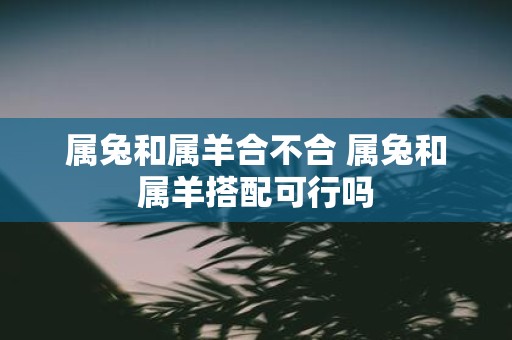属兔和属羊合不合 属兔和属羊搭配可行吗
