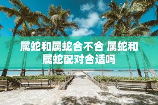 属蛇和属蛇合不合 属蛇和属蛇配对合适吗