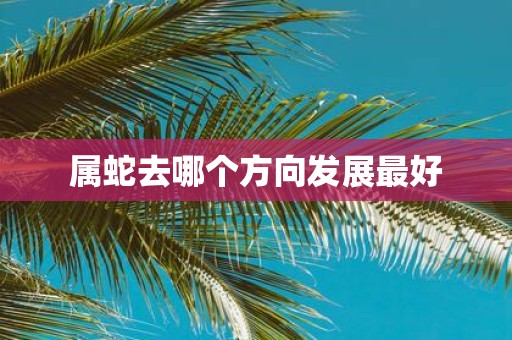 属蛇去哪个方向发展最好
