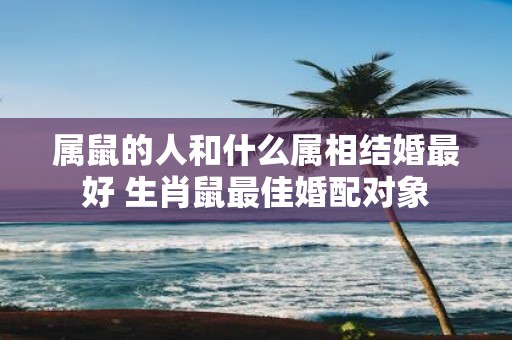属鼠的人和什么属相结婚最好 生肖鼠最佳婚配对象