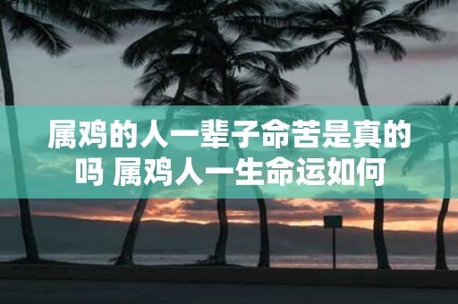 属鸡的人一辈子命苦是真的吗 属鸡人一生命运如何