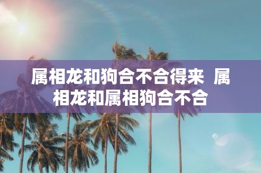 属相龙和狗合不合得来 属相龙和属相狗合不合