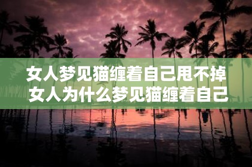 女人梦见猫缠着自己甩不掉 女人为什么梦见猫缠着自己甩不掉