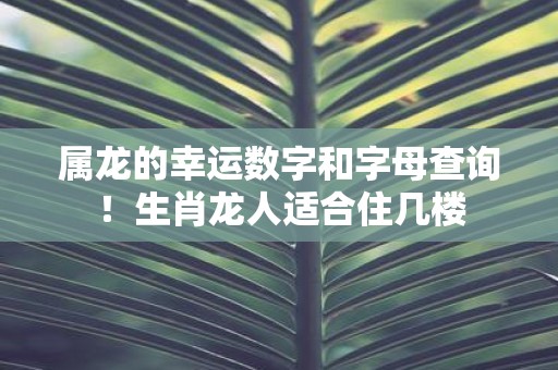 属龙的幸运数字和字母查询！生肖龙人适合住几楼