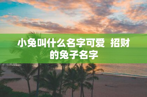 小兔叫什么名字可爱 招财的兔子名字