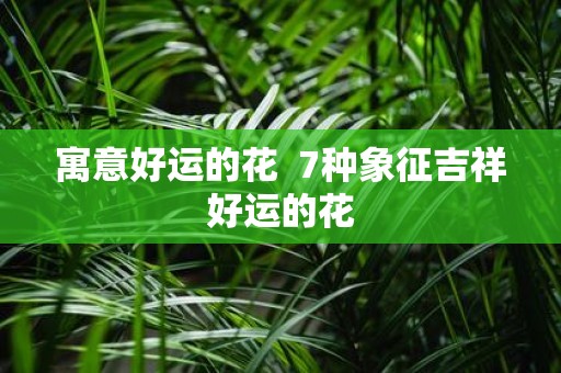 寓意好运的花 7种象征吉祥好运的花