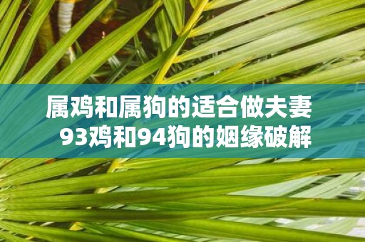 属鸡和属狗的适合做夫妻 93鸡和94狗的姻缘破解