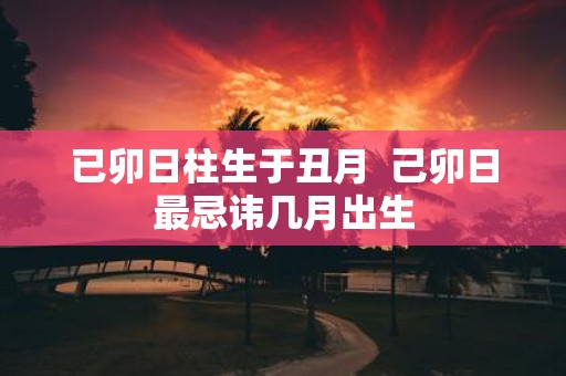 已卯日柱生于丑月 己卯日最忌讳几月出生