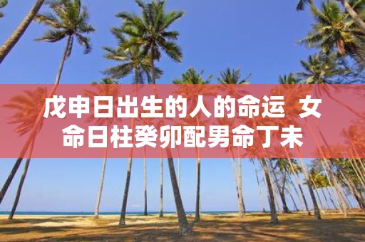 戊申日出生的人的命运 女命日柱癸卯配男命丁未