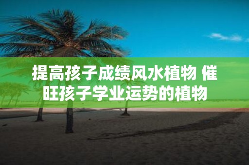 提高孩子成绩风水植物 催旺孩子学业运势的植物