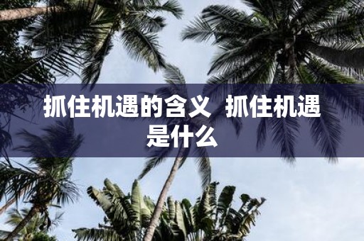 抓住机遇的含义 抓住机遇是什么