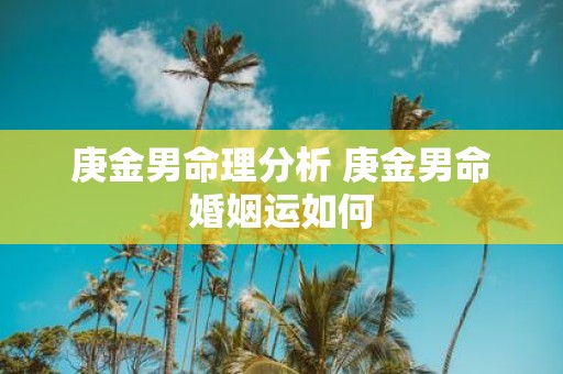 庚金男命理分析 庚金男命婚姻运如何