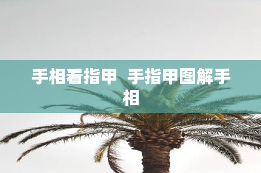 手相看指甲 手指甲图解手相