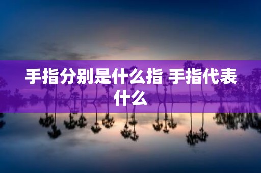 手指分别是什么指 手指代表什么