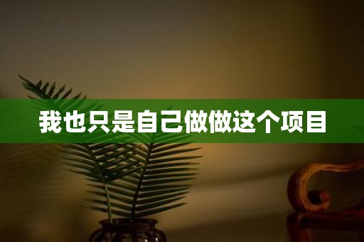 我也只是自己做做这个项目