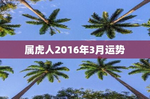 属虎人2016年3月运势