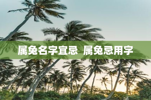 属兔名字宜忌 属兔忌用字