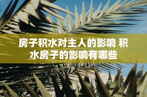 房子积水对主人的影响 积水房子的影响有哪些