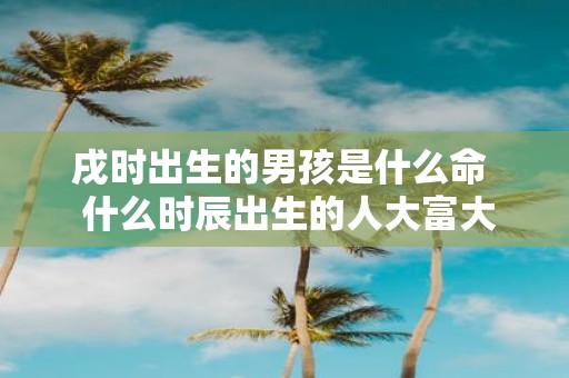 戌时出生的男孩是什么命 什么时辰出生的人大富大贵