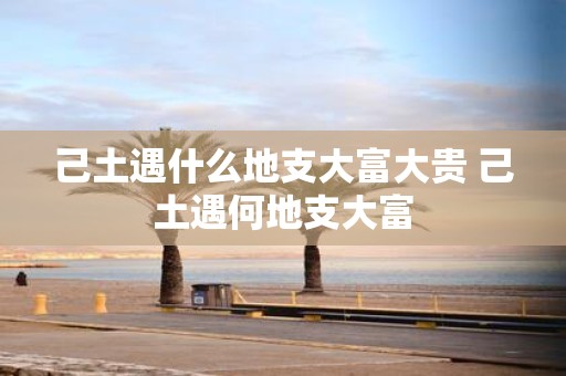 己土遇什么地支大富大贵 己土遇何地支大富